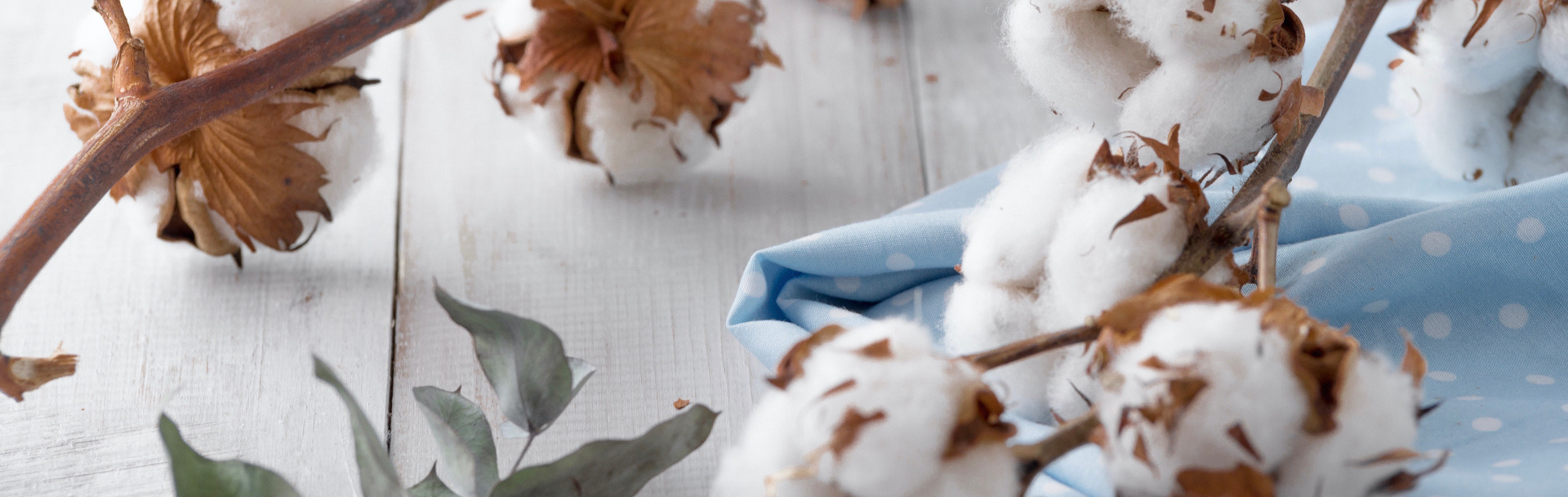 reboutement poiron magnétiseur magnétisme coton bien-être repos