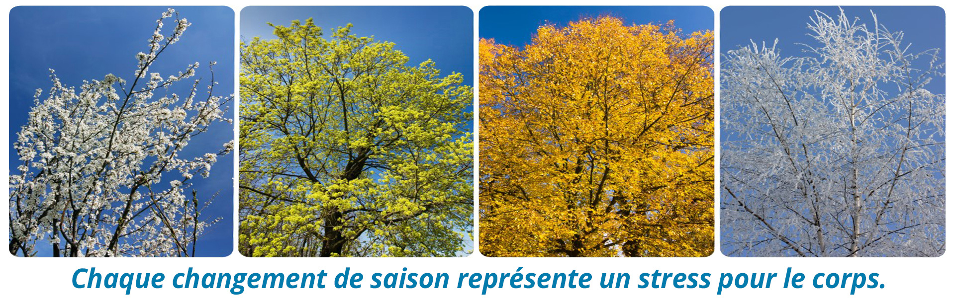 reboutement poiron magnétiseur changement saison stress corps stressé