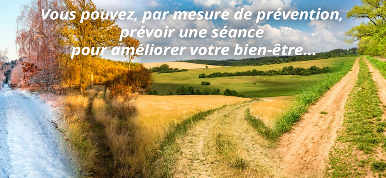 reboutement poiron magnétiseur changement saison prévention bien-être