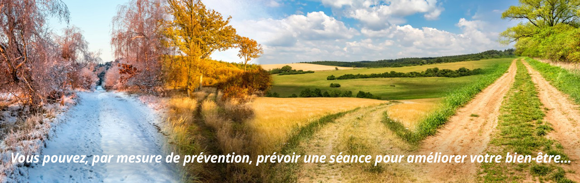 reboutement poiron magnétiseur changement saison prévention bien-être