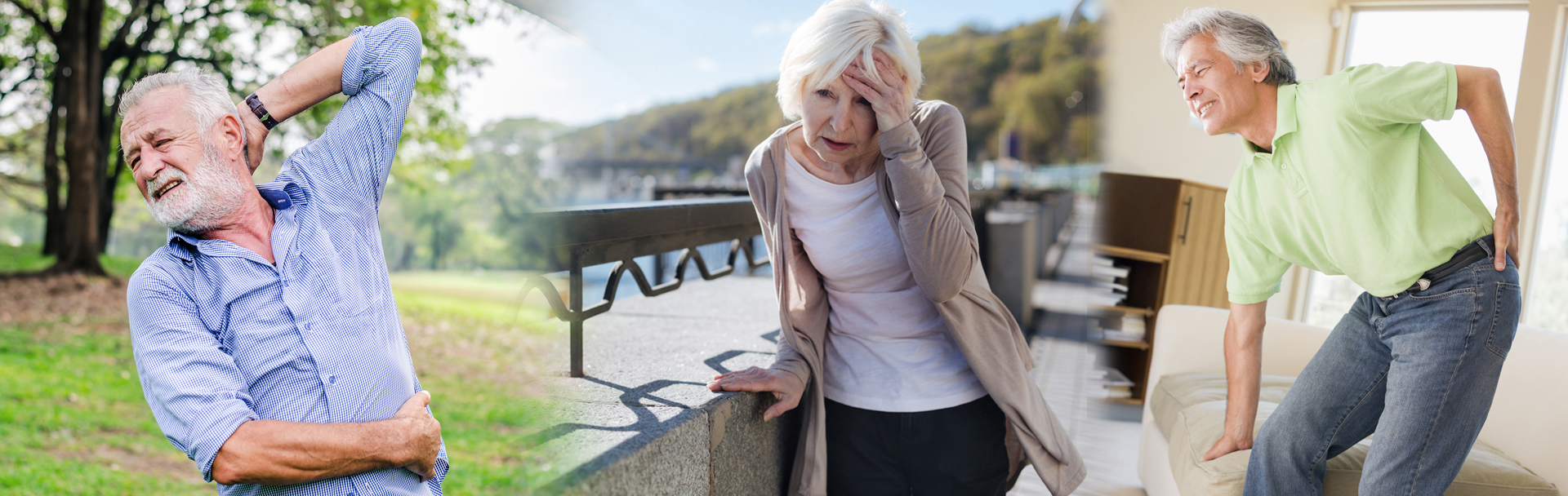 reboutement poiron magnétiseur senior