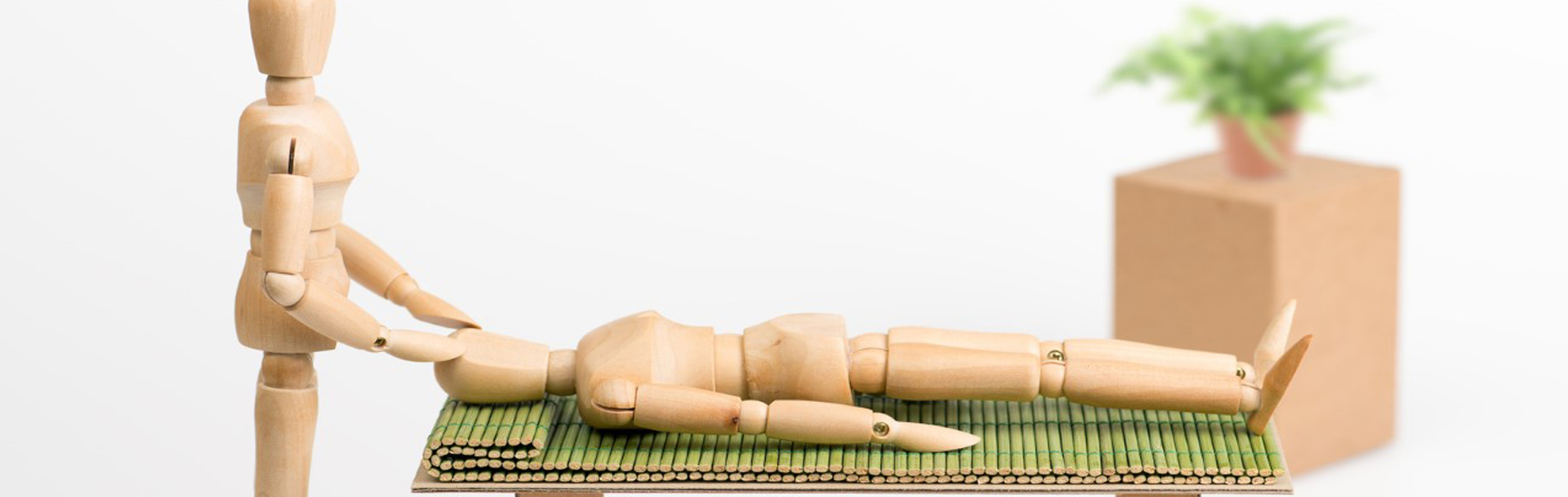 reboutement poiron magnétiseur pantin natte